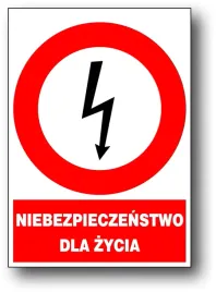 zez-a-1-znak-elektrycz-niebezpieczenstwo-dla-zycia