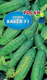 ogorek-gruntowy-basza-f1-5-g-polan
