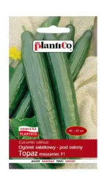 ogorek-pod-oslony-topaz-mieszaniec-f1-1-g-plantico