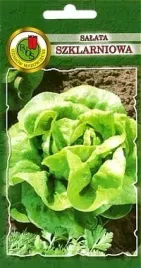salata-szklarniowa-atena-1-g-pnos