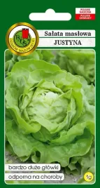 salata-maslowa-justyna-1-g-pnos