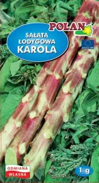 salata-karola-1-g-polan
