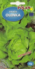 salata-olenka-1-g-polan