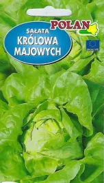 salata-krolowa-majowych-1-g-polan