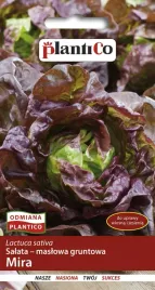 salata-maslowa-mira-1-g-plantico