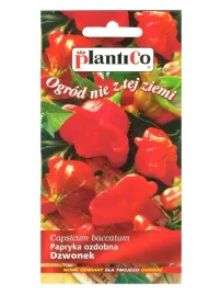 papryka-ozdobna-dzwonkowa-02-g-plantico