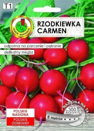rzodkiewka-na-tasmie-carmen-6-m-pnos