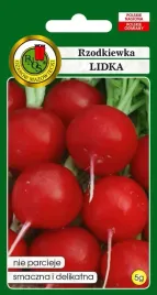 rzodkiewka-lidka-5-g-pnos