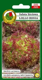 salata-lisciowa-lollo-rossa-1-g-pnos