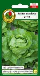 salata-maslowa-zimujaca-zina-1-g-pnos
