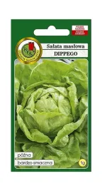 salata-glowiasta-maslowa-dippego-1-g-pnos-ozarow