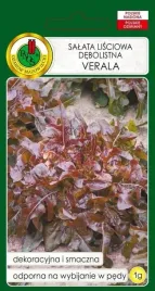 salata-debolistna-czerwona-verala-1-g-pnos