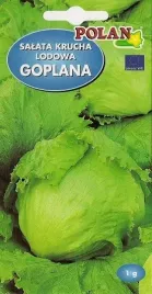 salata-goplana-1-g-polan