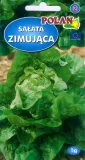 salata-zina-1-g-polan