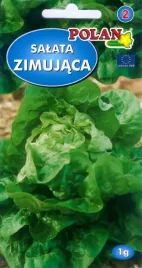 salata-zina-1-g-polan