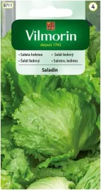 salata-saladin-02-g-vilmorin-lodowa
