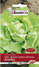salata-maslowa-szklarniowa-anielka-1-g-plantico