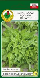 salata-debolistna-dubacek-1-g-pnos