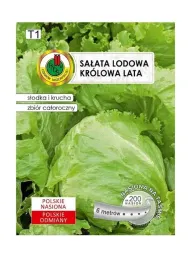 salata-glowiasta-krolowa-lata-6-m-pnos-ozarow