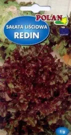 salata-redin-1-g-polan