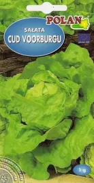 salata-cud-voorburgu-1-g-polan