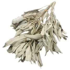 szalwia-biala-50-gram-kadzidlo-zapach-aromat