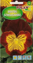 bratek-szwajcarski-yellow-brown-04-g-polan