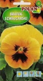 bratek-szwajcarski-pomaranczowy-z-plama-0-4-g-polan