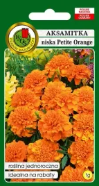 aksamitka-pelna-niska-petite-orange-1-g-pnos