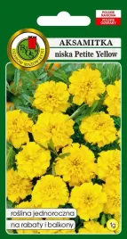 aksamitka-pelna-niska-petite-yellow-1-g-pnos