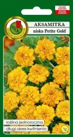 aksamitka-pelna-niska-petite-gold-1-g-pnos