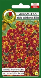 aksamitka-niska-pojedyncza-eliza-1-g-pnos
