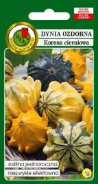 dynia-ozdobna-korona-cierniowa-mieszana-1-g-pnos