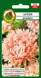 aster-peoniowy-lososioworozowy-08-g-pnos