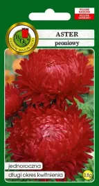 aster-peoniowy-czerwony-08-g-pnos