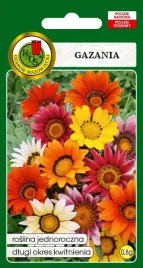 gazania-mieszana-08-g-pnos
