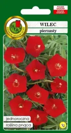 wilec-pierzasty-czerwony-1-g-pnos