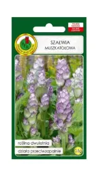 szalwia-muszkatolowa-05-g-pnos