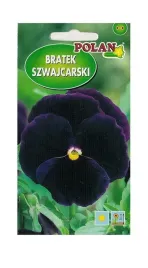 bratek-szwajcarski-ciemnoniebieski-z-plama-04-g-polan
