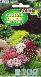 gozdzik-brodaty-niski-pelny-mieszany-0-5-g-polan
