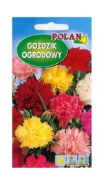 gozdzik-ogrodowy-grenadin-mieszany-1-g-polan