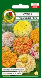 cynia-daliowa-peppermint-stick-mieszanka-1-g-pnos