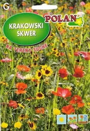 mieszanka-kwiatow-krakowski-skwer-na-tereny-suche-10-g-polan