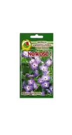 browalia-amerykanska-niebieska-02-g-pnos-ozarow