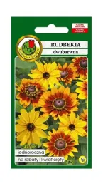 rudbekia-dwubarwna-meine-freude-1-g-pnos-ozarow