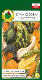 dynia-ozdobna-autumn-wings-mieszana-1-g-pnos