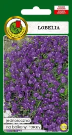 lobelia-mitternachtsblau-fioletowa-0-2-g-pnos