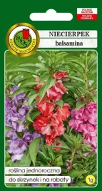 niecierpek-balsamina-mieszany-1-g-pnos