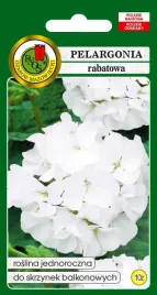 pelargonia-rabatowa-f1-biala-10z-pnos