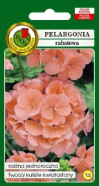 pelargonia-rabatowa-f1-lososiowa-10z-pnos